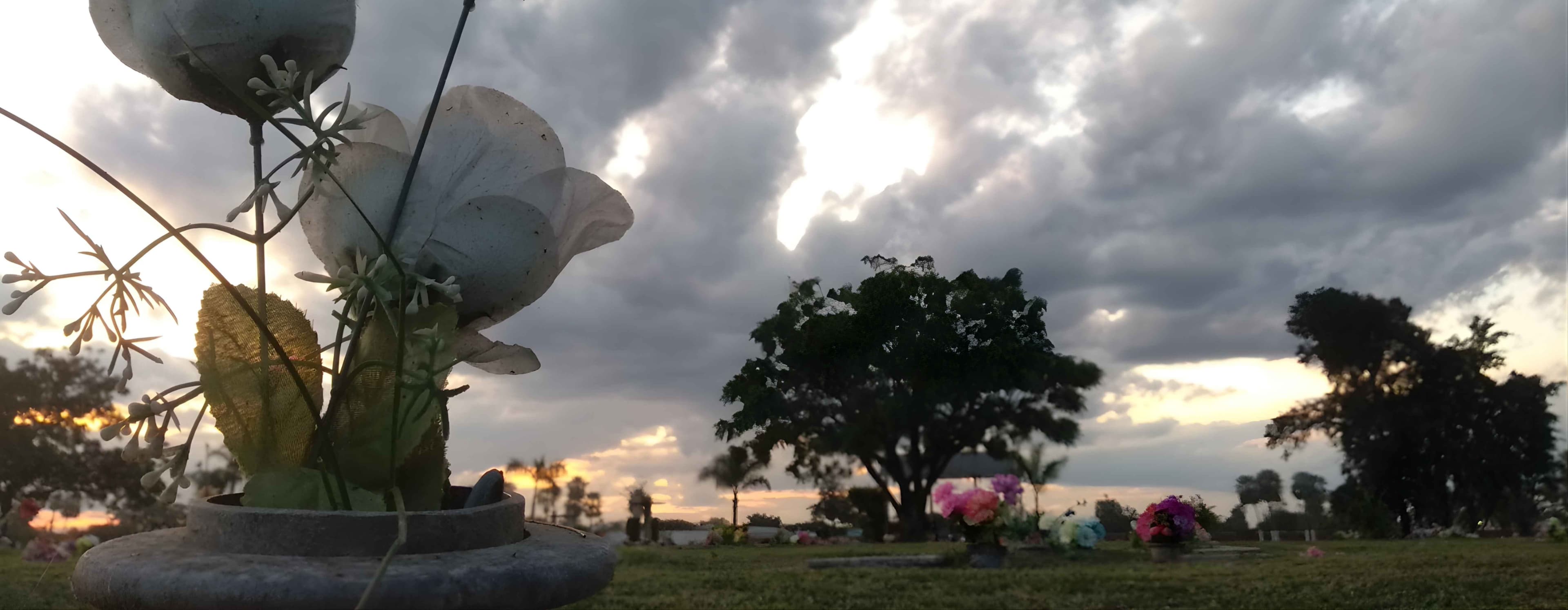 Instalaciones Carmelo Monte